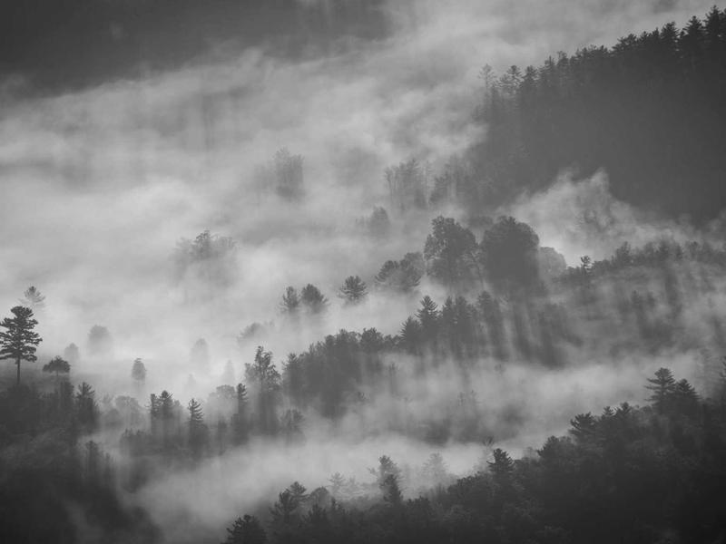 New Style Photo — Silhouette Bike at Blue Hour